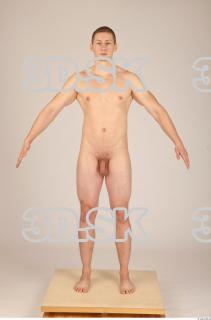 Body texture of Dexter 0045